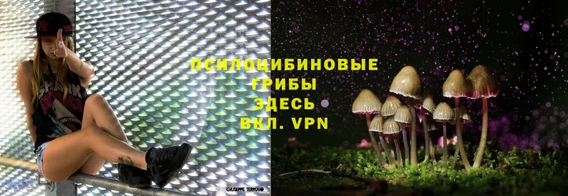 Галлюциногенные грибы MAGIC MUSHROOMS  цены   Армавир 